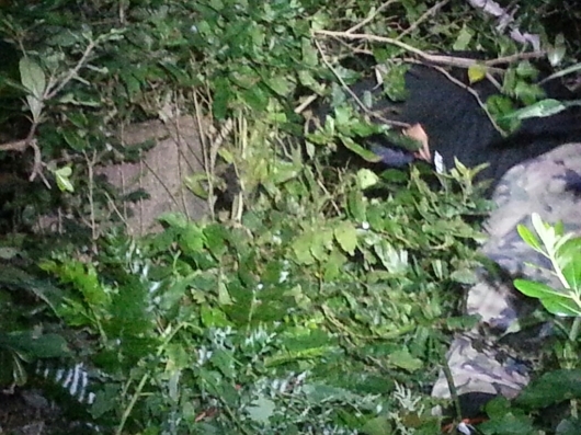 f0183484_16090397.jpg