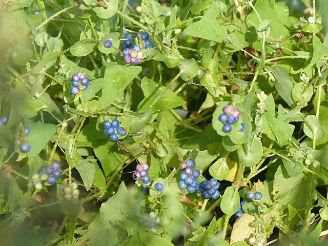 f0357487_22295622.jpg