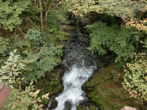 a0186689_13573302.jpg