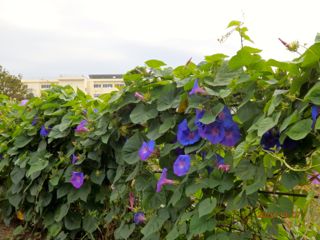 c0149195_074946.jpg