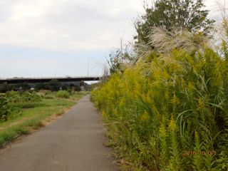 c0149195_0763.jpg