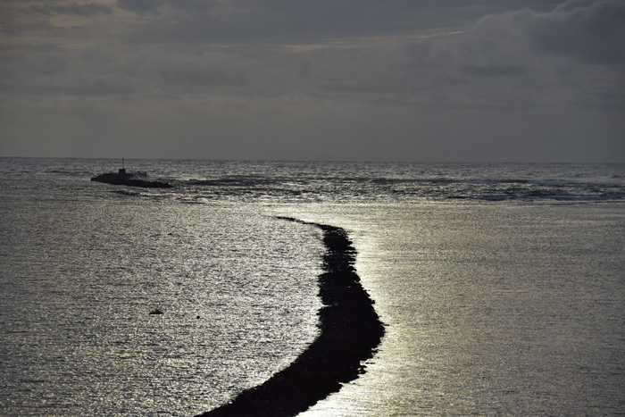 c0049299_21434564.jpg