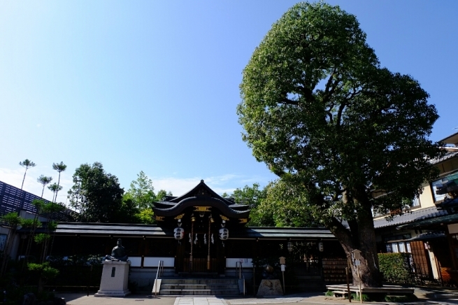f0113108_10035668.jpg