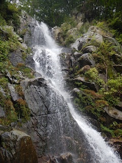 c0359615_21261940.jpg