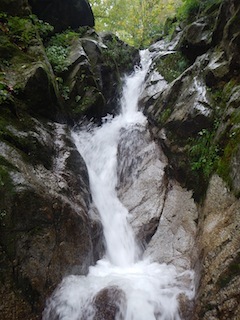 c0359615_21264266.jpg