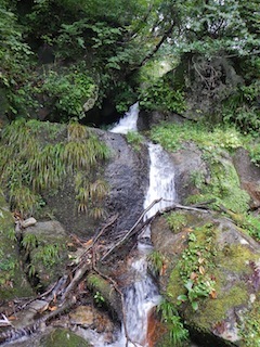 c0359615_21275497.jpg