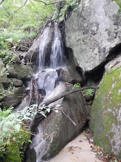 c0359615_21281266.jpg