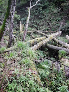 c0359615_21285096.jpg