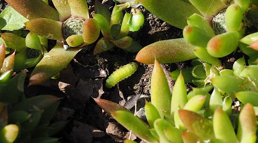 d0303129_2094847.jpg