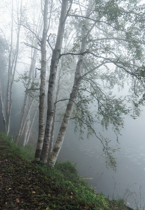 f0237034_09083397.jpg