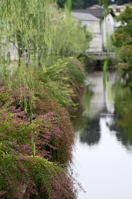 a0242438_19233093.jpg