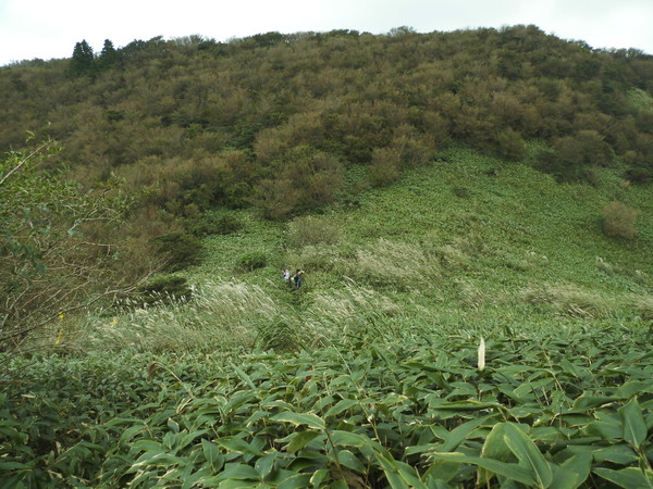 a0206345_19361044.jpg