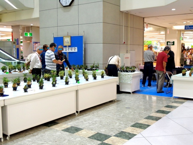 a0353447_21090829.jpg