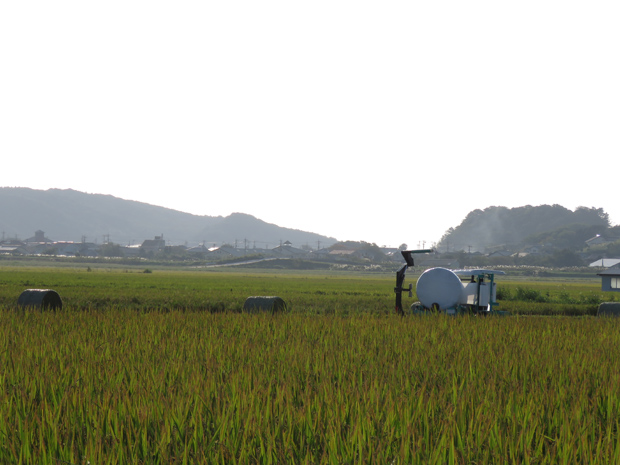 f0214649_4301096.jpg