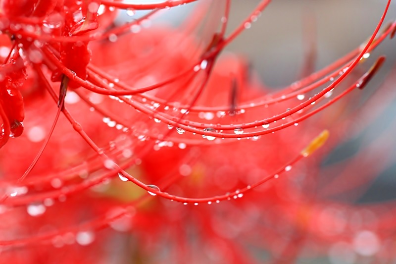 a0167759_1655178.jpg