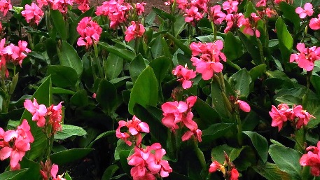 c0190960_20231618.jpg
