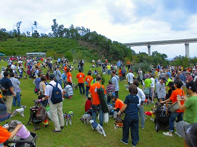 e0002466_20401827.jpg