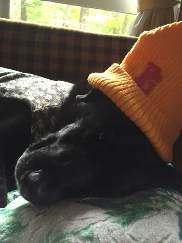 e0232266_21393301.jpeg