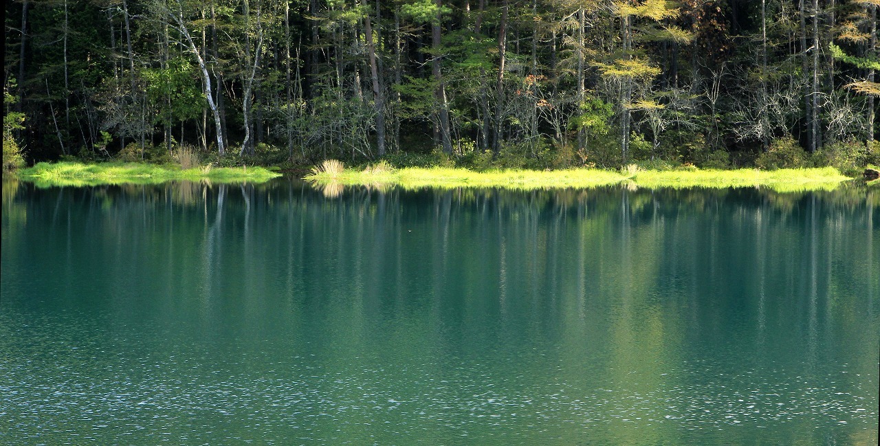 c0362972_22541931.jpg