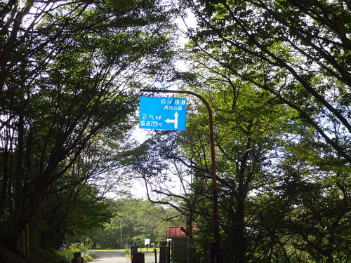 e0124473_12293984.jpg