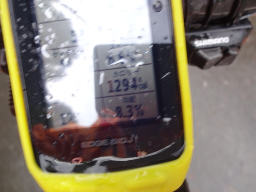 e0124473_1284669.jpg