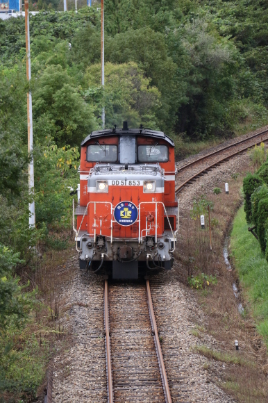 d0187275_20121137.jpg