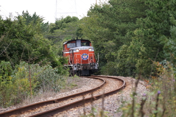 d0187275_20324380.jpg