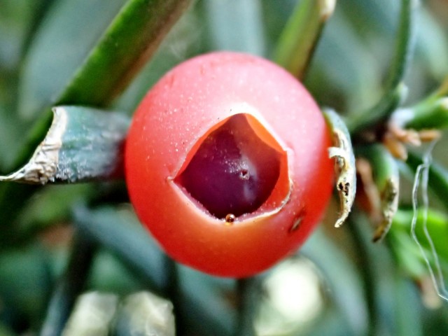 c0183777_1782764.jpg