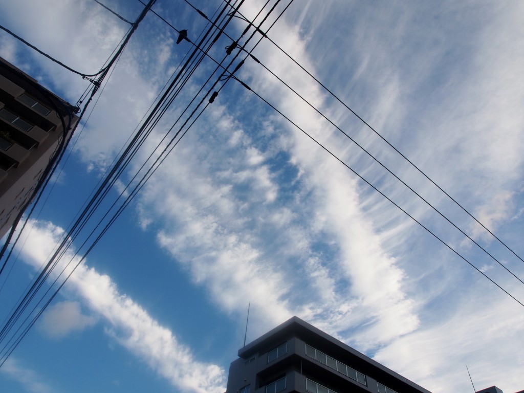 c0183777_717858.jpg