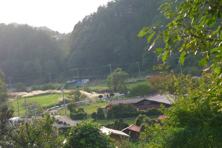 a0130586_17526100.jpg