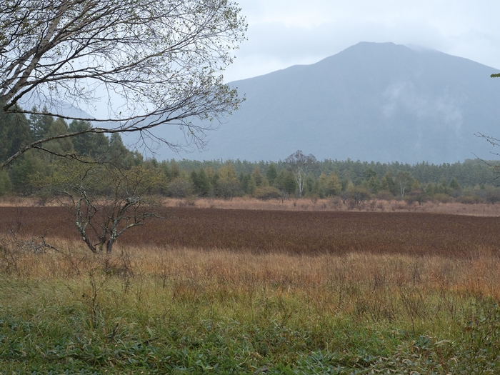 f0224100_21504767.jpg