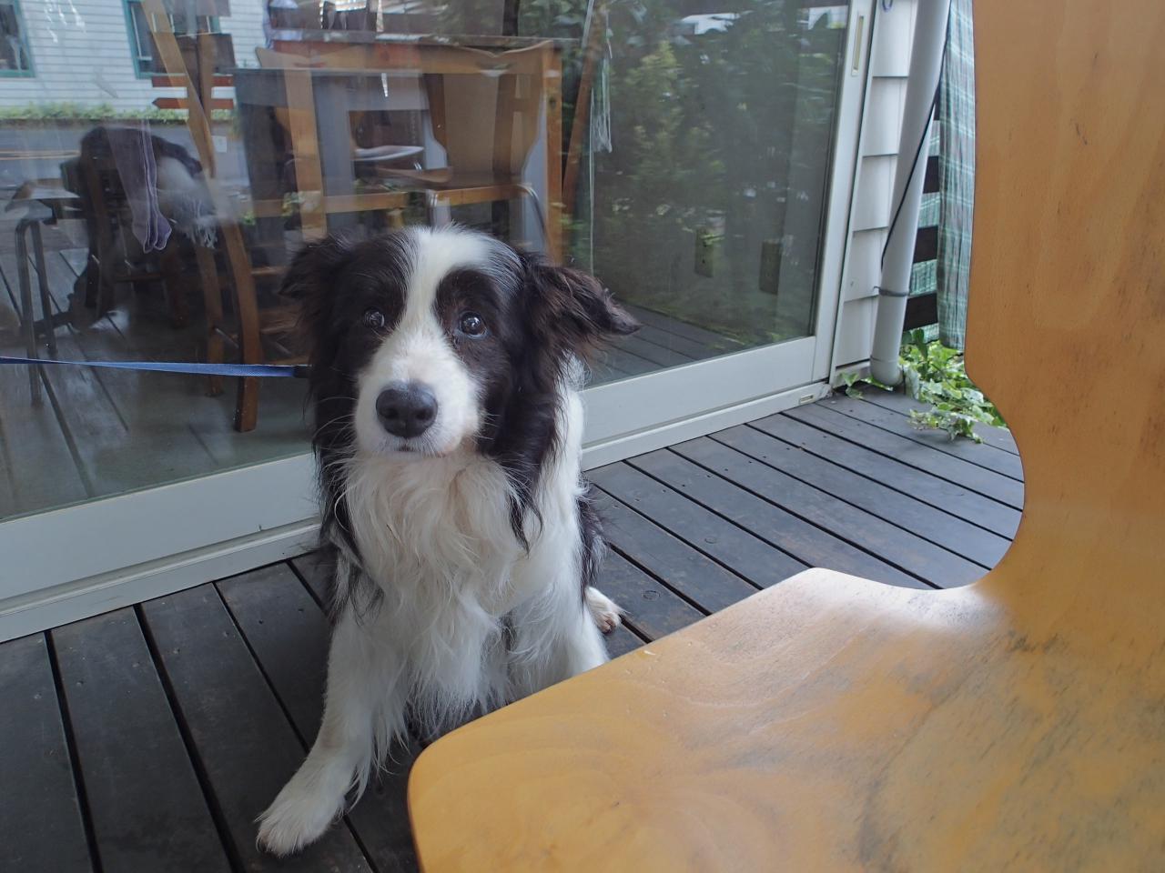 f0034602_21162315.jpeg