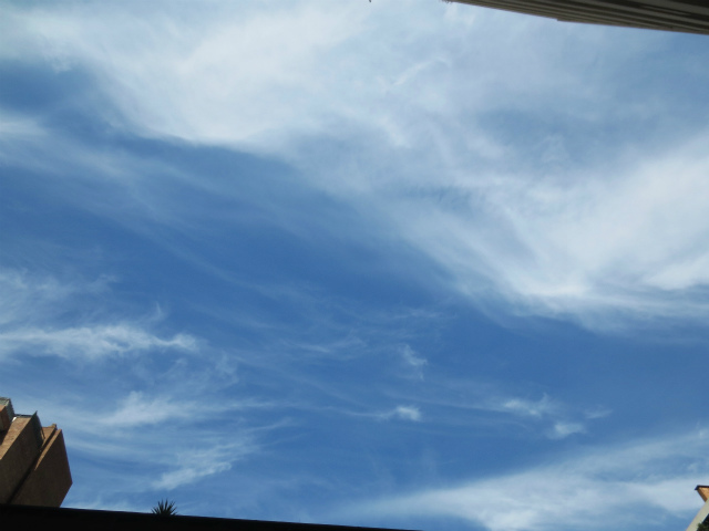 b0064411_01140767.jpg