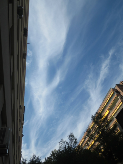 b0064411_01140794.jpg