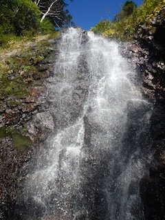 c0359615_21183423.jpg