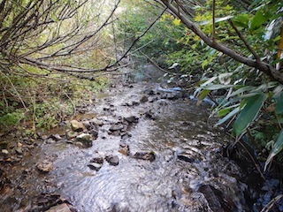 c0359615_21184307.jpg