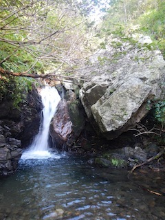 c0359615_21190593.jpg