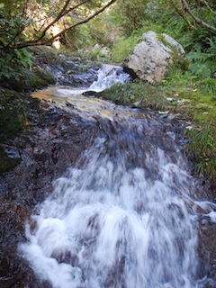 c0359615_21191425.jpg