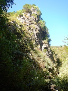 c0359615_21193764.jpg