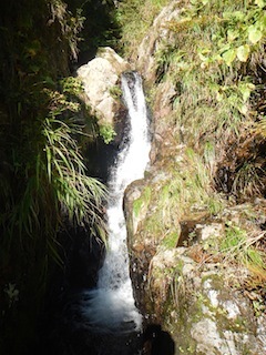 c0359615_21194951.jpg