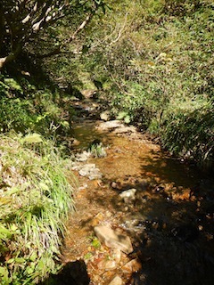 c0359615_21205721.jpg