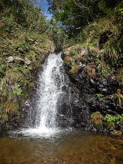 c0359615_21210795.jpg