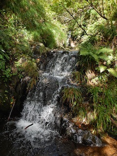c0359615_21211592.jpg