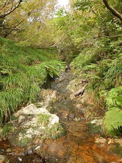 c0359615_21212997.jpg