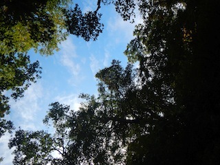 c0359615_21214444.jpg