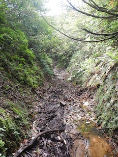c0359615_21223120.jpg