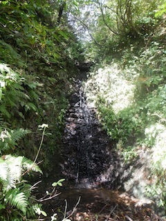 c0359615_21224795.jpg