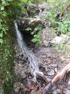 c0359615_21230169.jpg