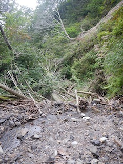 c0359615_21232905.jpg