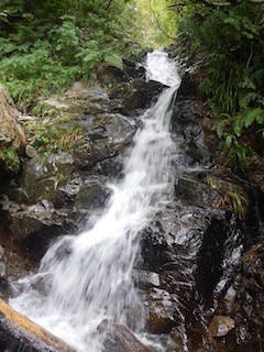 c0359615_21233960.jpg